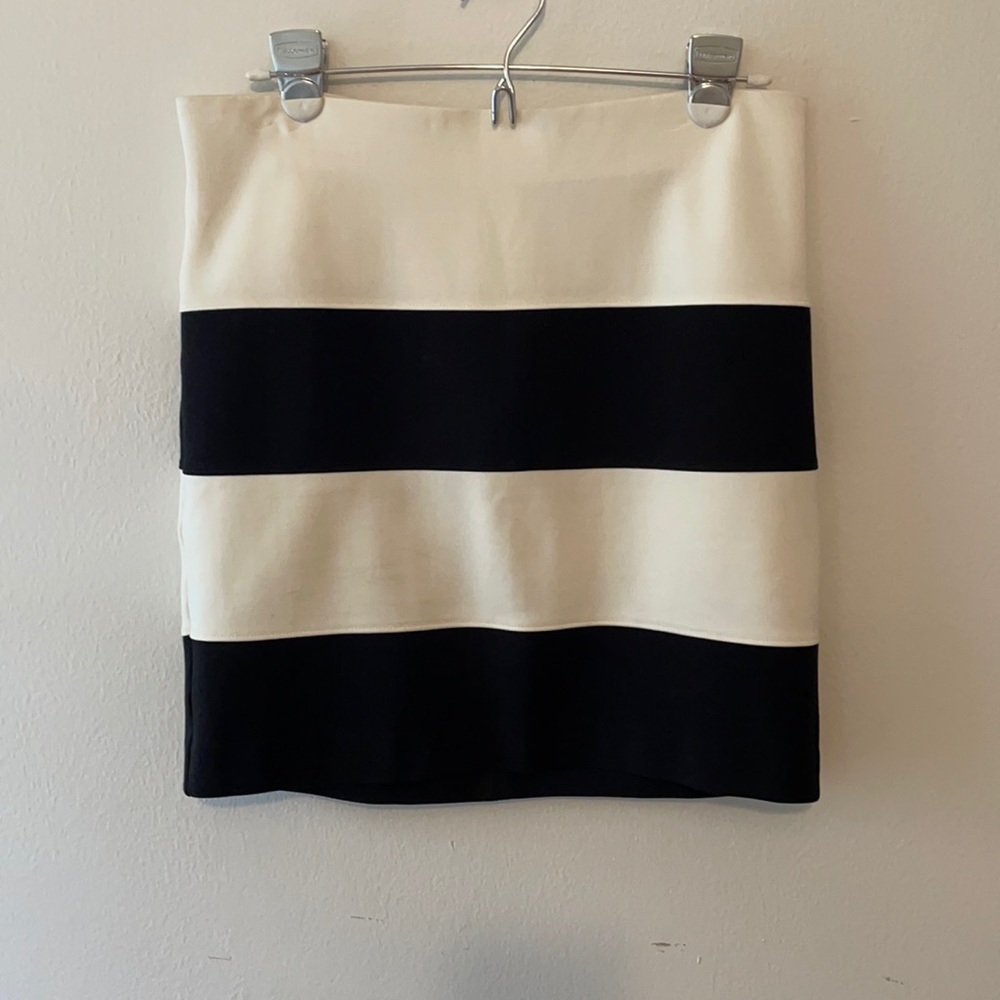 LOFT Skirt
